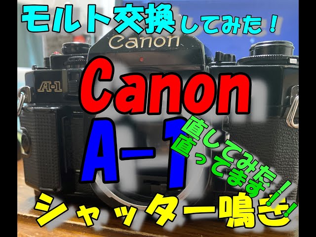 Canon（キャノン） A-1シャッター鳴き改善！今回はモルト張替に挑戦
