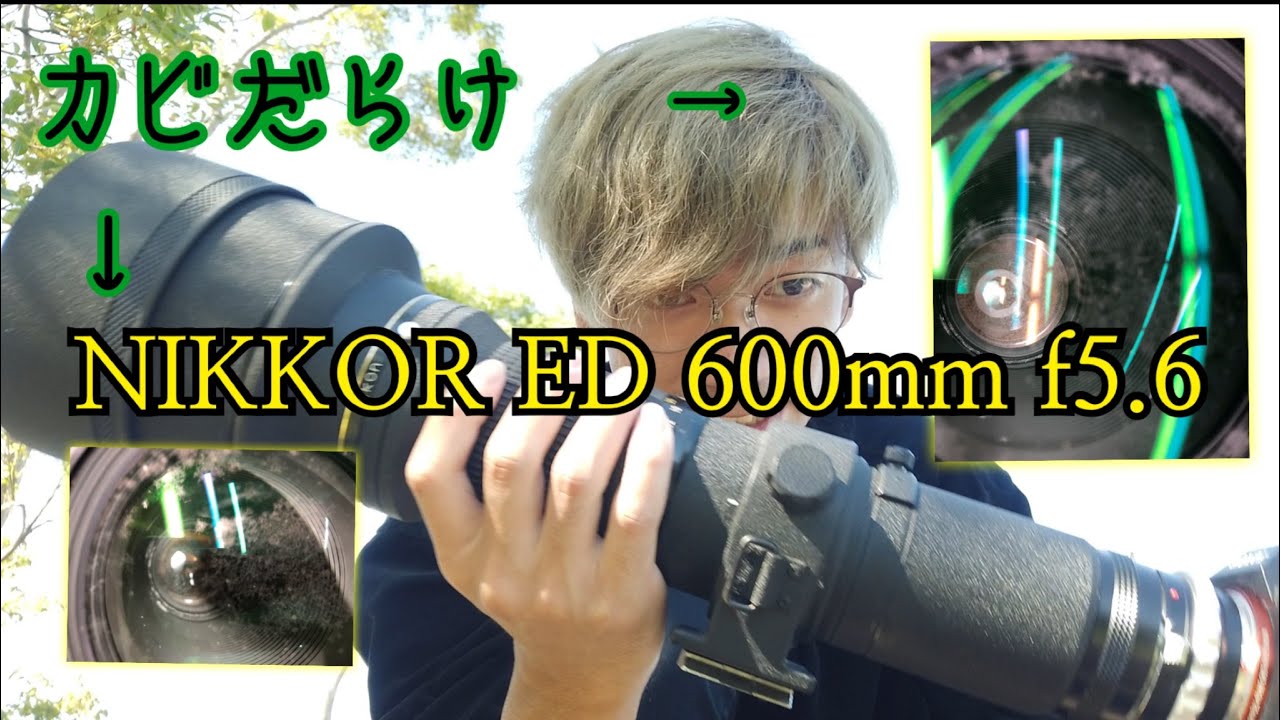 カビだらけ]NIKKOR ED 600mm f5.6 使ってみたら首いった - YouTube
