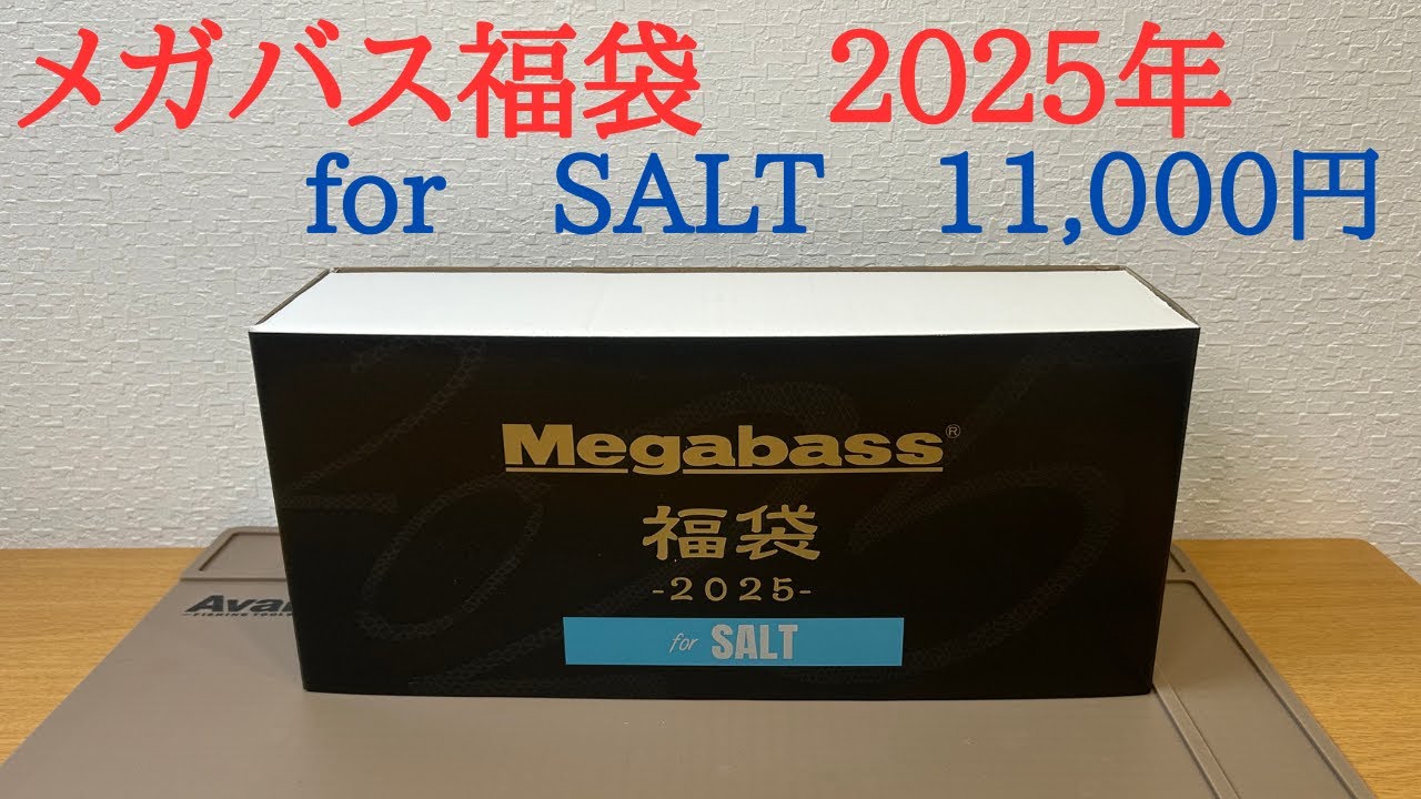 メガバス2025ソルト福袋【MEGABASS格納庫キリンジカゲロウX-80オリカラ