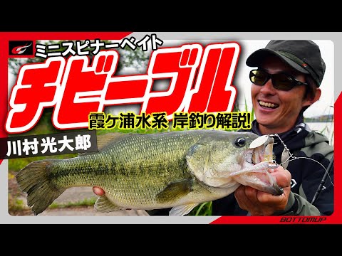 ChiBeeble(チビーブル) – Bottomup(ボトムアップ)公式サイト