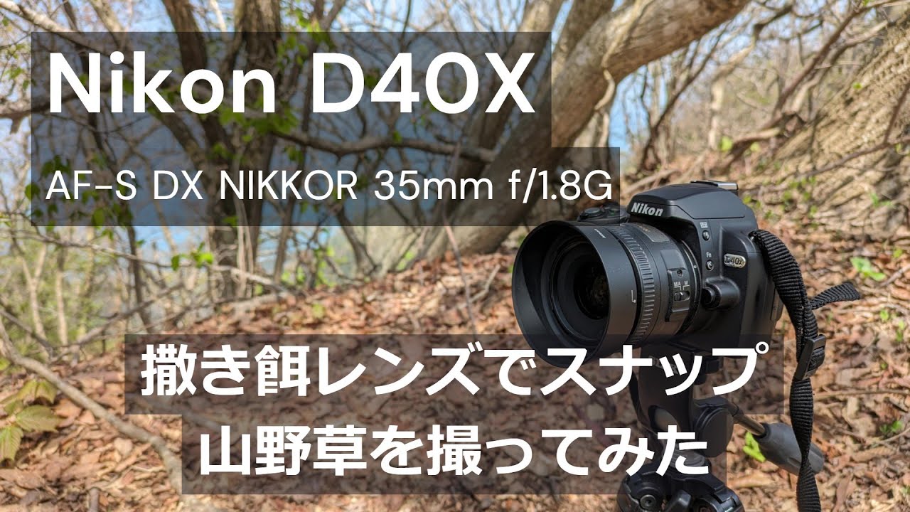 Nikon D40X｜AF-S DX NIKKOR 35mm f/1.8G｜撒き餌レンズで撮ってみた