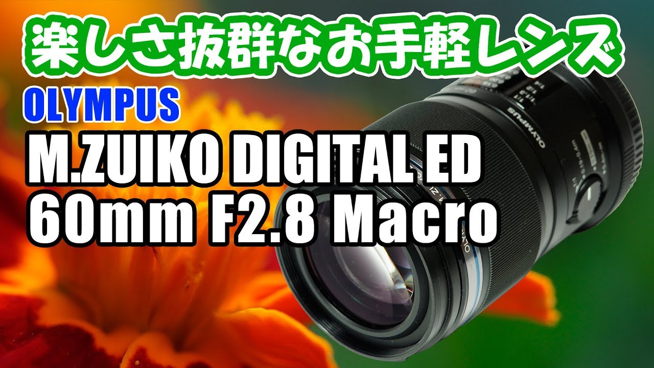 OLYMPUS 60mm F2.8Macro をいろいろ楽しんでみました。 - YouTube