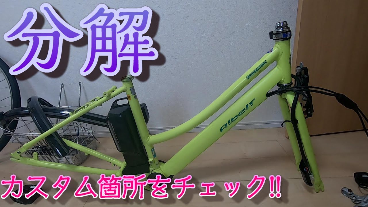 分解したアルベルトeを見てみよう!!どこをイジれてどこをイジれない