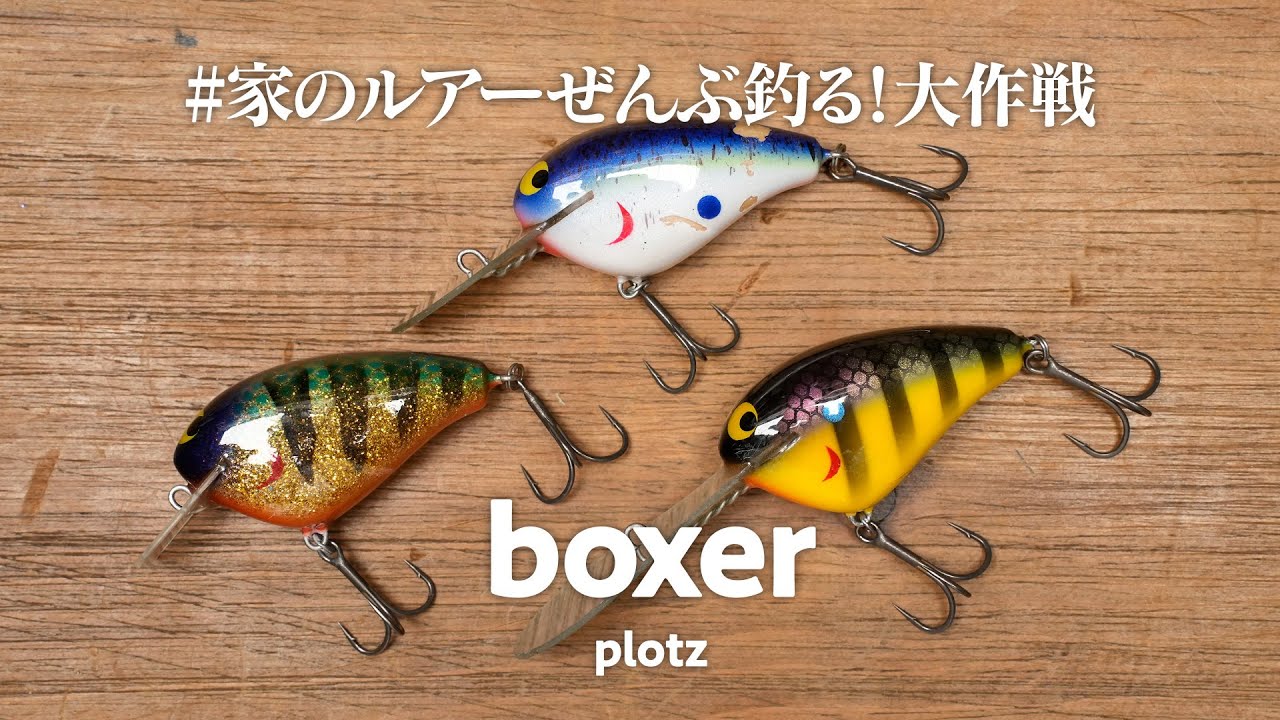 神回!?ボクサーのように俊敏にカバーを躱しバスのリアクションバイトを