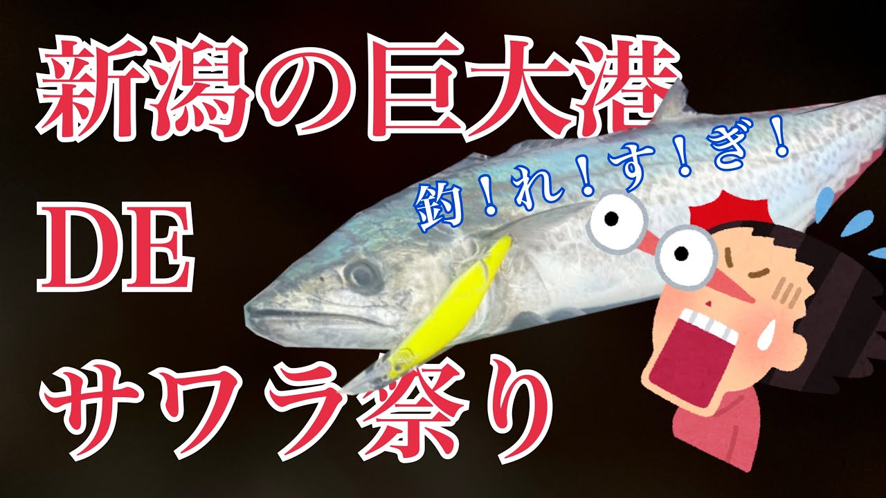 新潟東港の2025年サワラ開幕！！！ - YouTube
