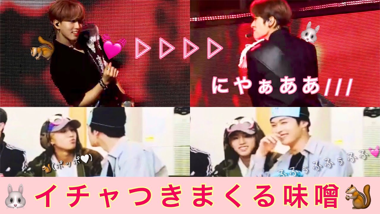 💗🐰イチャつきまくる味噌🐿💗〈Stray Kids Lee Know Han misung