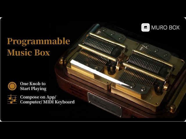 Muro Box-N40 | Programmable Mechanical Music Box - YouTube