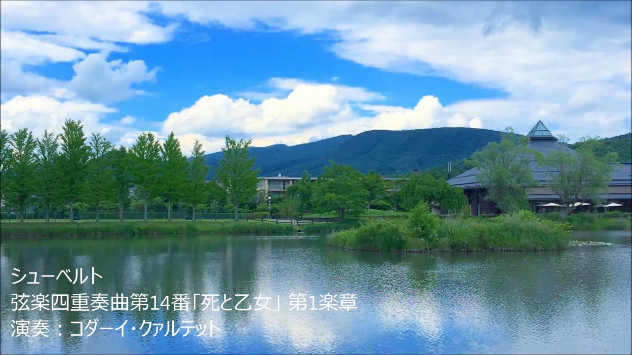 シューベルト: 弦楽四重奏曲第14番｢死と乙女｣：第2楽章［ナクソス