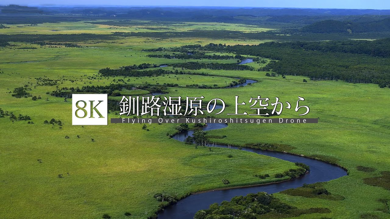 8K footage]Flying Over Kushiroshitsugen Drone【空から見る釧路湿原_