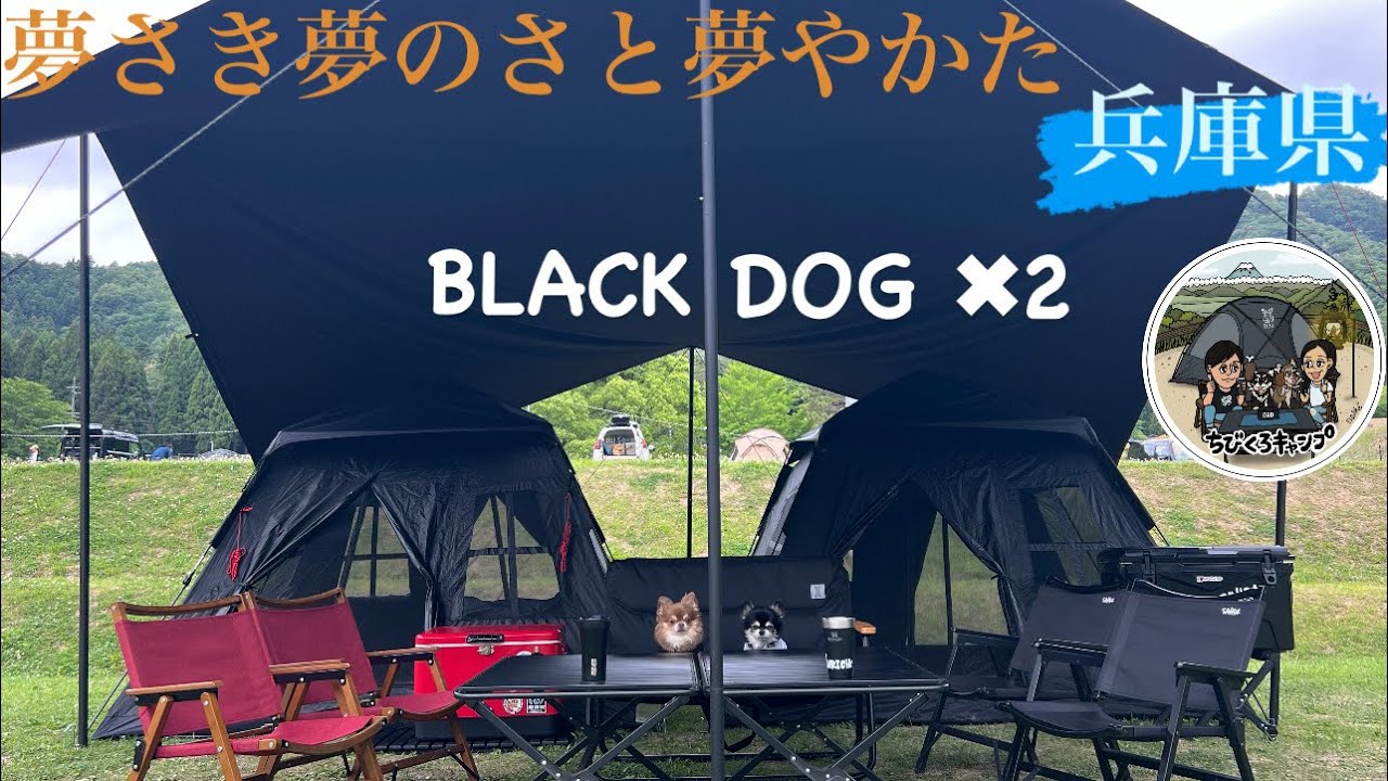 BLACK DOGで快適ワンタッツキャンプ - YouTube