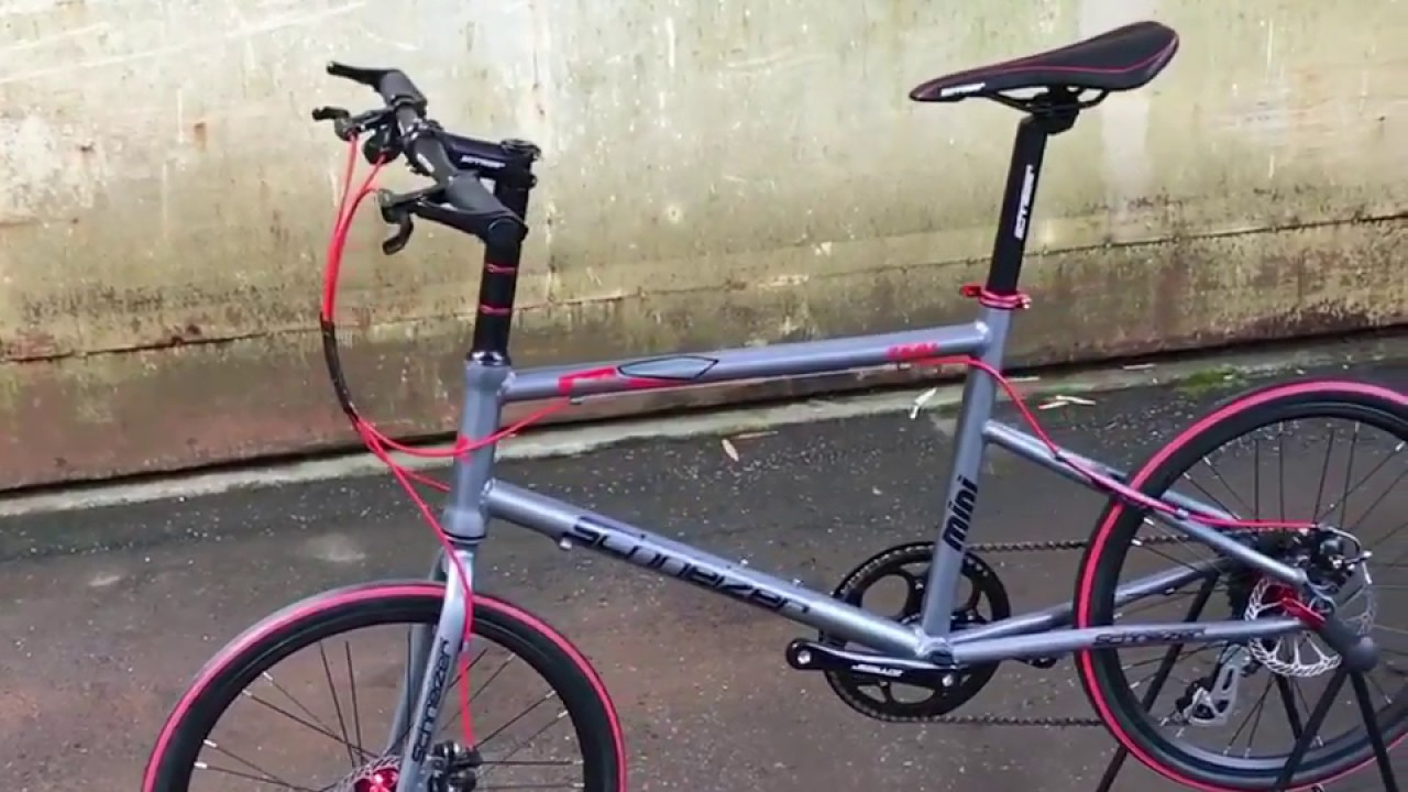 SCHNEIZER シュナイザー ミニベロ Z501 ダブルディスクブレーキ 超軽量