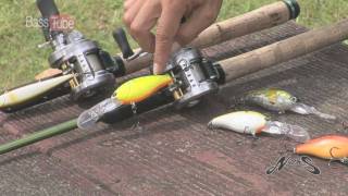 TADAMAKI | BASS | NORIES