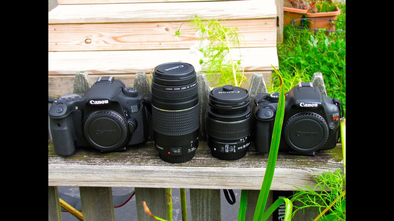 Canon 18-55mm vs 75-300mm - YouTube