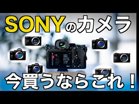 2024年版】目的別ソニーのおすすめカメラ！初心者向けに選び方と