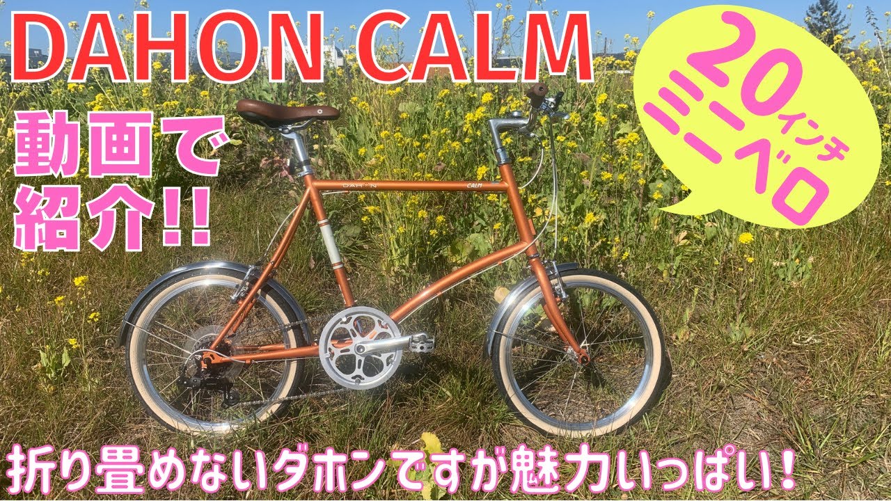 動画カタログ】DAHON CALMの詳細を紹介をします！【ダホン・カーム