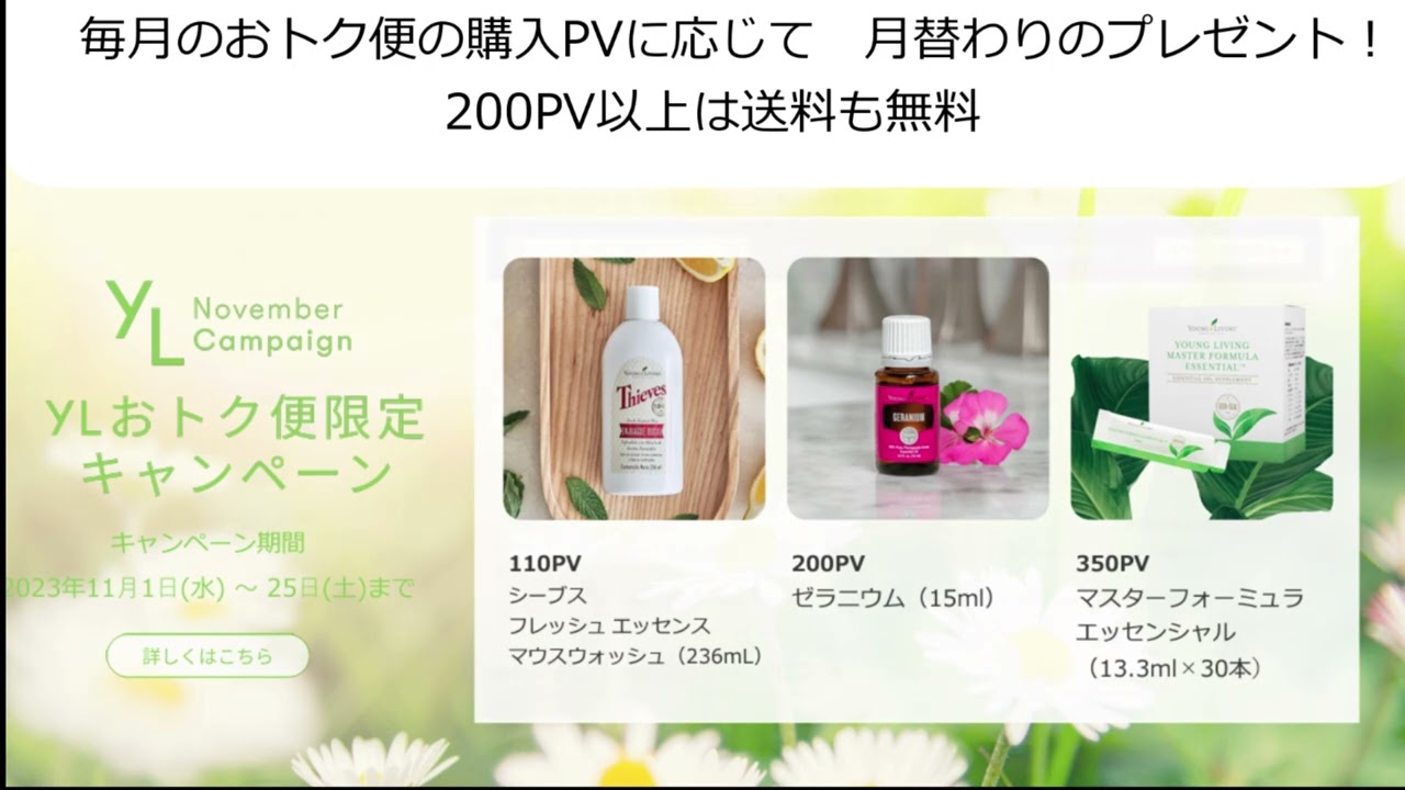 Final!】ヤング・リビング・ジャパン 25周年スクラッチキャンペーン