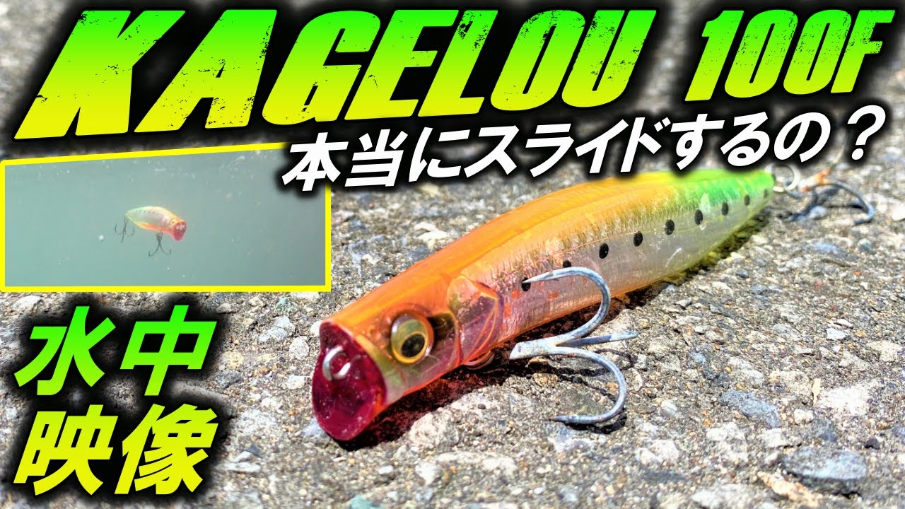 水中映像【カゲロウ100F】大人気シーバスルアーMegabass（メガバス