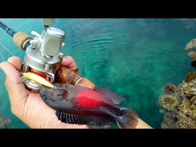 リョービ バリウス M200 ちょこっとフィネス化 - YouTube