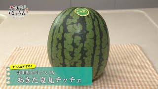 Shunsai Kitchen No. 218 Akita Prefecture Small Watermelon Akita