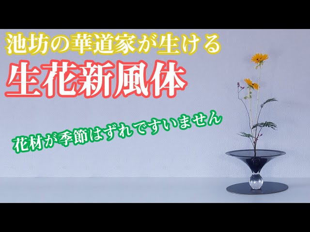 生け花紹介】池坊の華道家が夏の生花新風体を生ける2【ひまわり