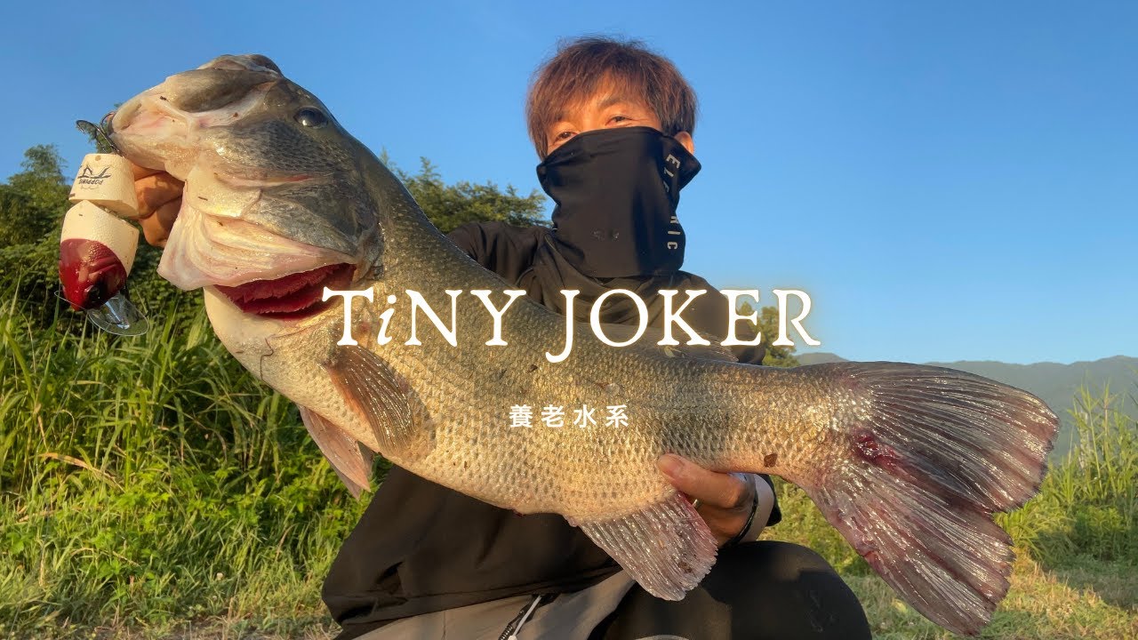 DRT】TiNY JOKER / タイニージョーカー POPPING（RED HEAD#2） - YouTube