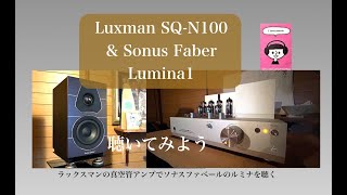 Luxman真空管SQ-N100で Sonus Faber Lumina1を聴いてみよう - YouTube