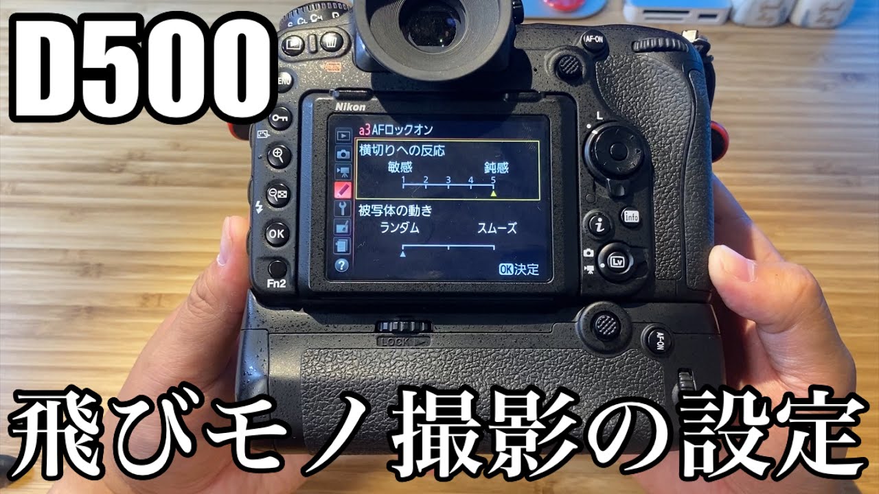 Backdating Chat] Resetting the settings on the legendary D500 to