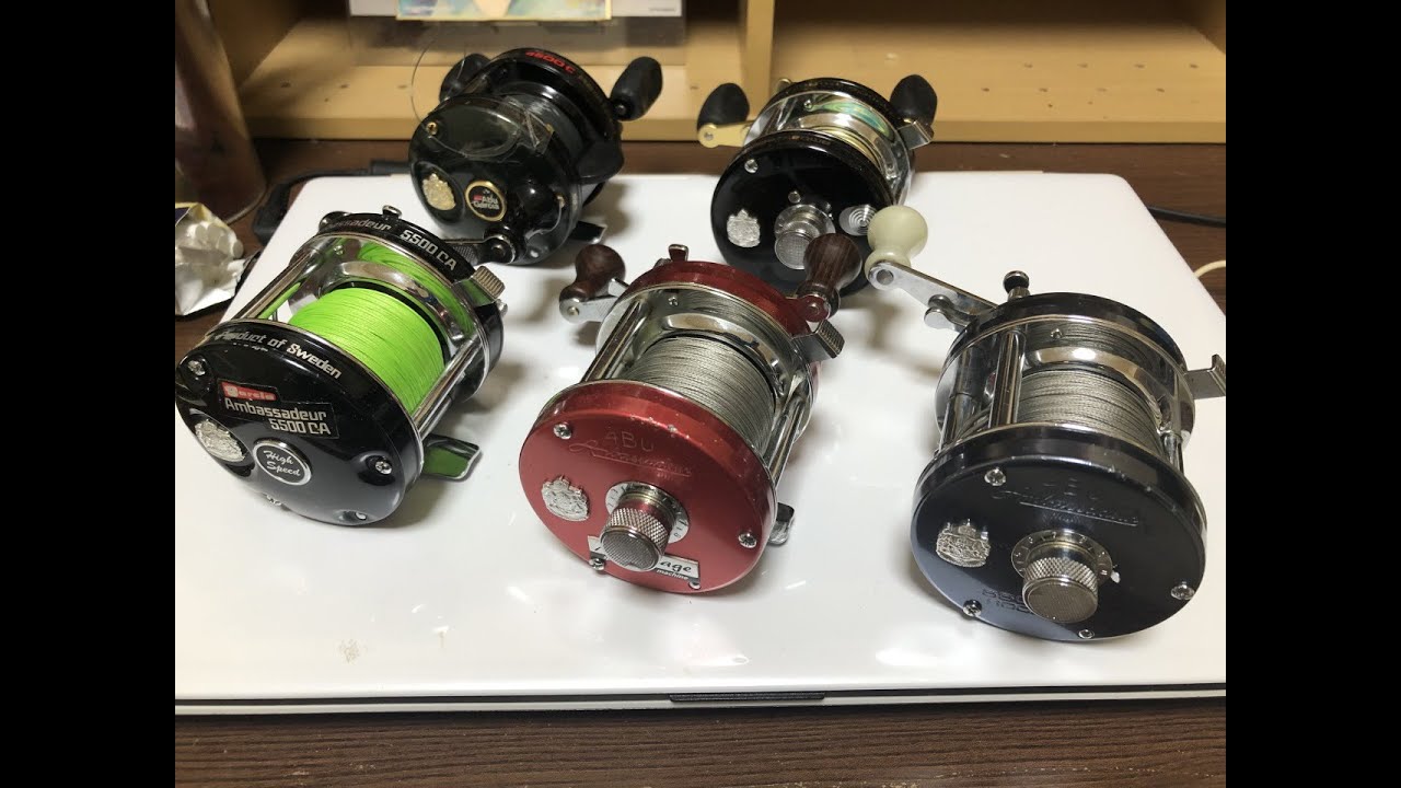 魂のリール】雷魚とナマズはアンバサダー - YouTube