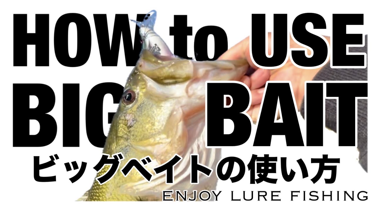 琵琶湖バス釣りC2C】 クラッシュ9で50up！（KLASH9 Hi クランキング