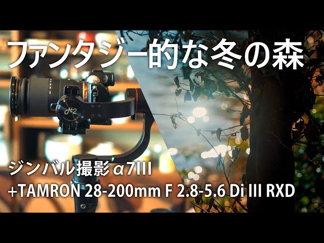 カメラ】TAMRON 28-200mm F 2.8-5.6 Di III RXD をジンバルに乗せて