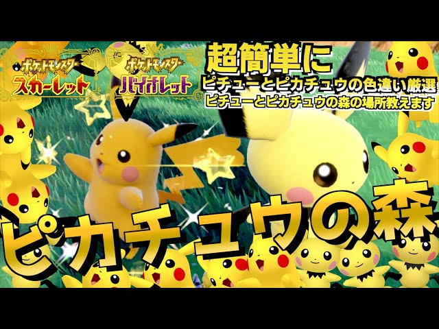 激ムズ案件 色違い判別の難しいピチューの色違い厳選とピカチュウの色