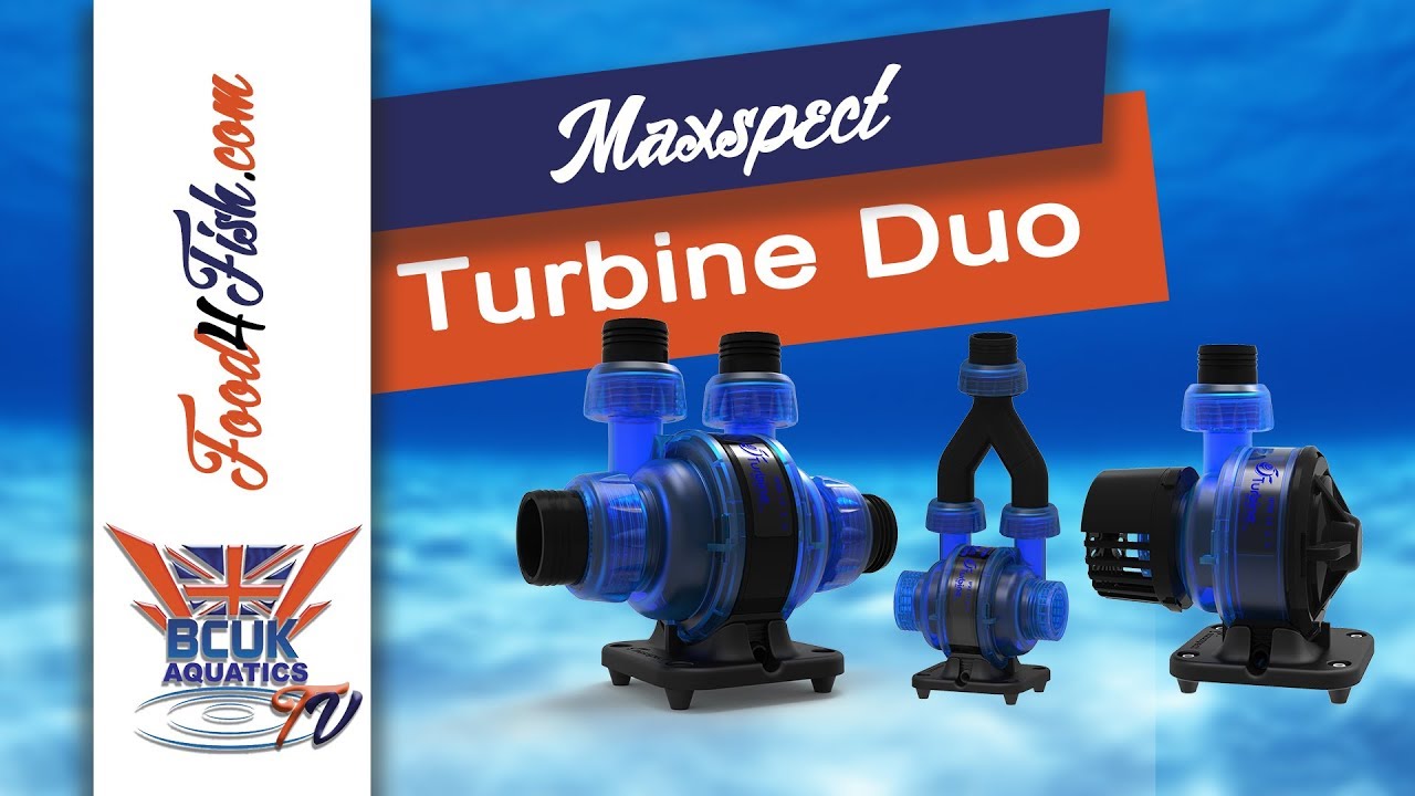 Maxspect Turbine Duo Return Pump Unboxing - YouTube