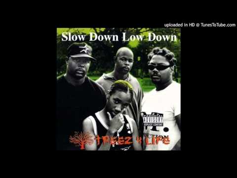 Treez 4 Life – Slow Down Low Down – Vinyl (12
