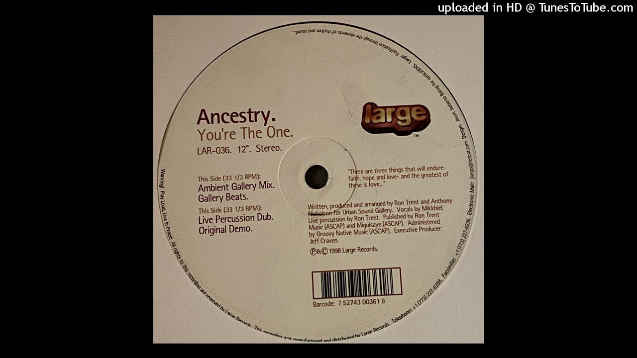 Ancestry | You're The One (Ambient Gallery Mix) - YouTube