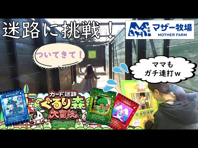 カード迷路 ぐるり森大冒険に挑戦！～マザー牧場～ - YouTube