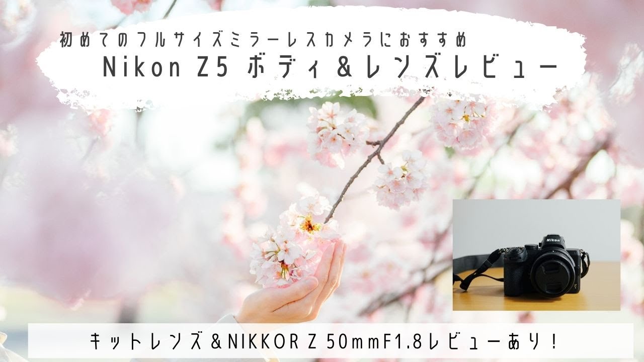 初めてのフルサイズにおすすめ！NikonZ5ボディ＆NIKKOR Z50㎜F1.8