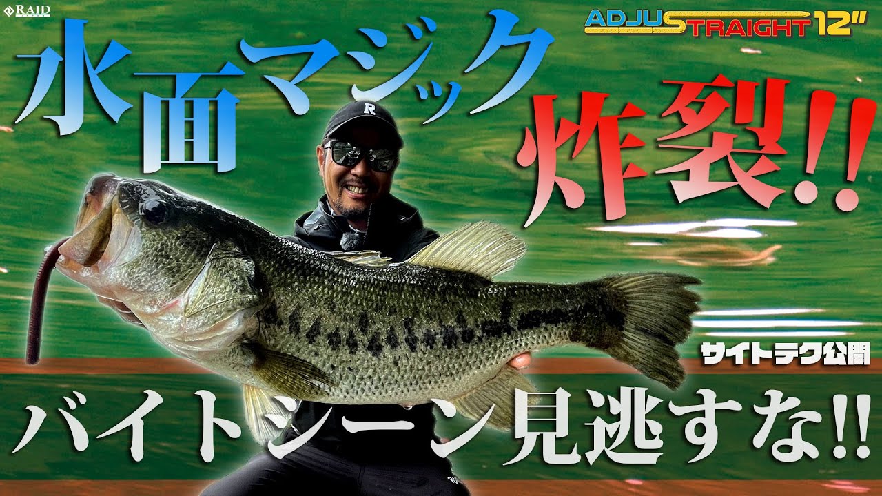 HOLBROOK ホルブルック 金森隆志 レイドジャパン 【公式通販】