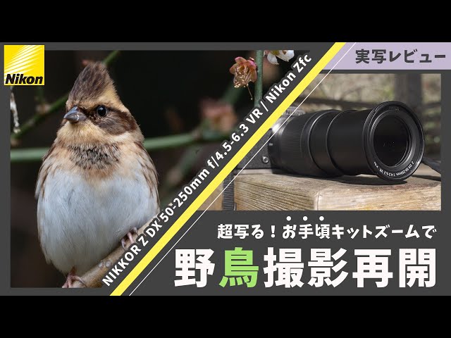 安くて軽くてよく写る！NIKKOR Z DX 50-250mm f/4.5-6.3 VR / Nikon