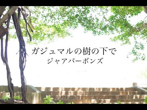 ガジュマルの樹の下で】 MV / ジャアバーボンズ(JaaBourBonz) - YouTube