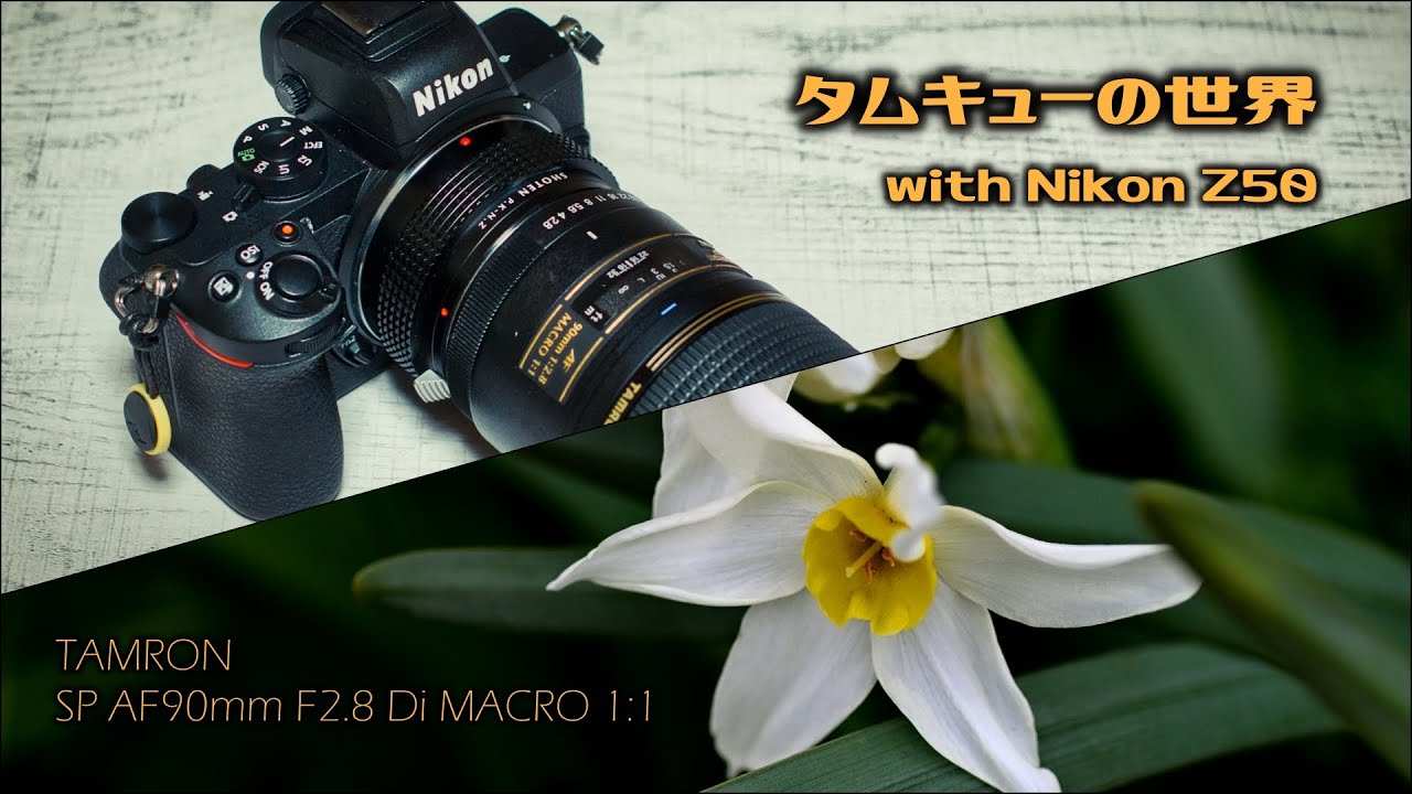 TAMRON（タムロン） SP AF90mm F2.8 Di MACRO 1:1 作例集『タムキュー