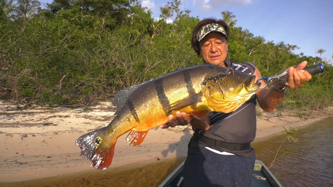 357 [Part 1] A colorful fish lurking in the great black river