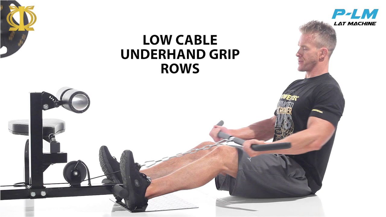 □POWERTEC(パワーテック) ラットマシン P-LM23 – フィットネスショップ