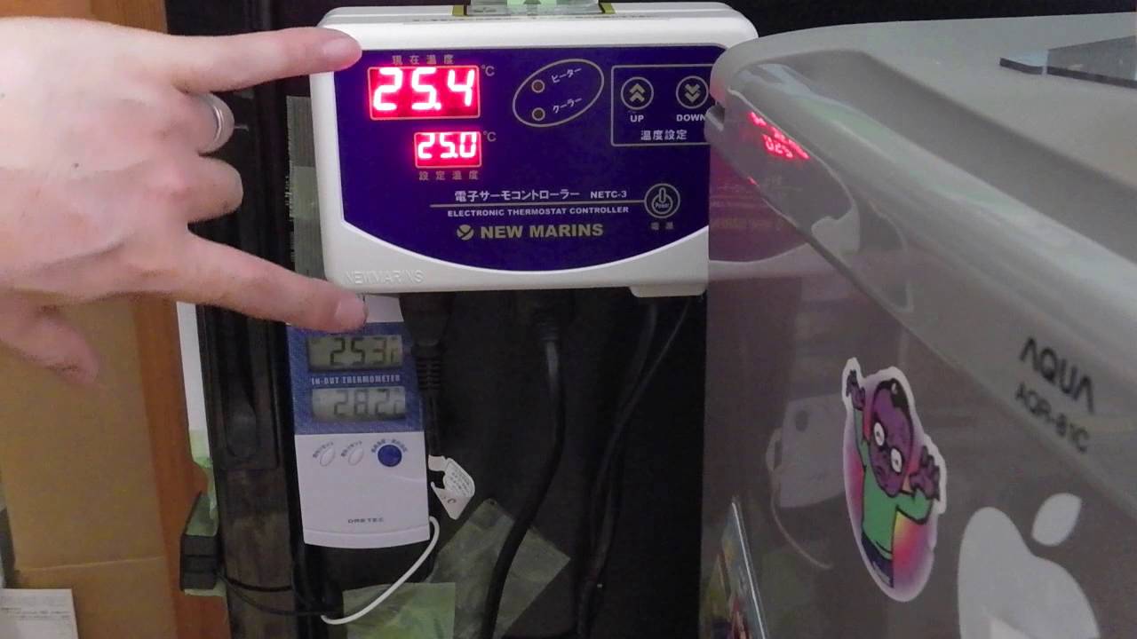 三ツ星貿易ワインクーラーMB-111Cに電子サーモ取付けてみた【昆虫飼育