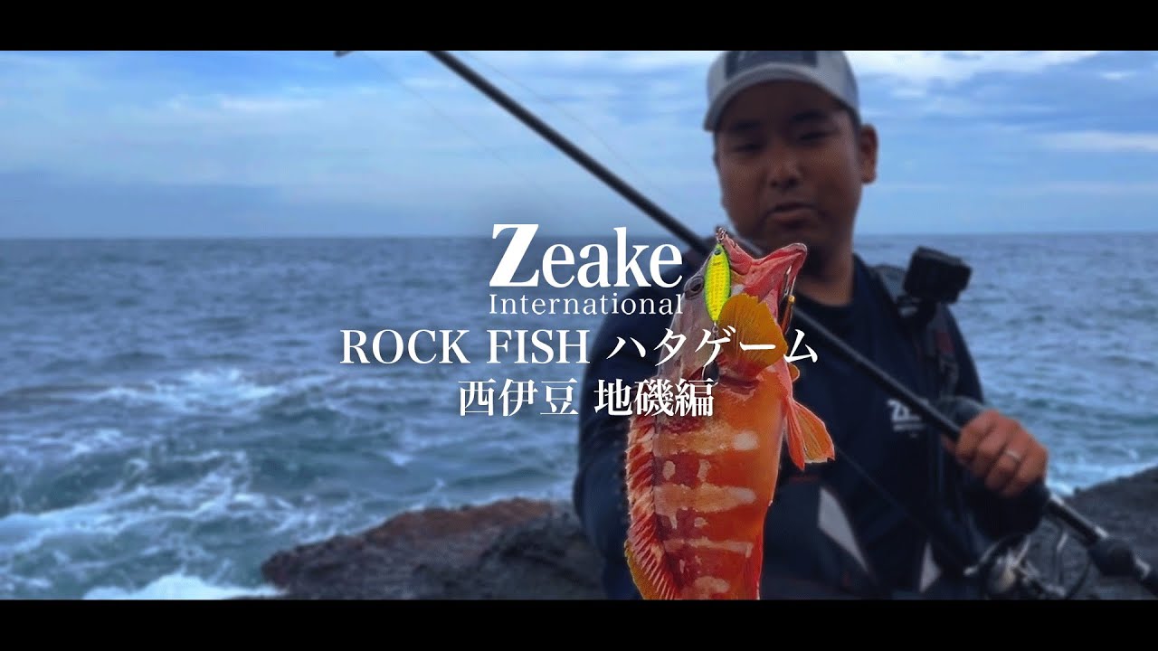 西伊豆地磯ランガン ハタゲーム / VELLZARD RF810 / S-BIT BT - F