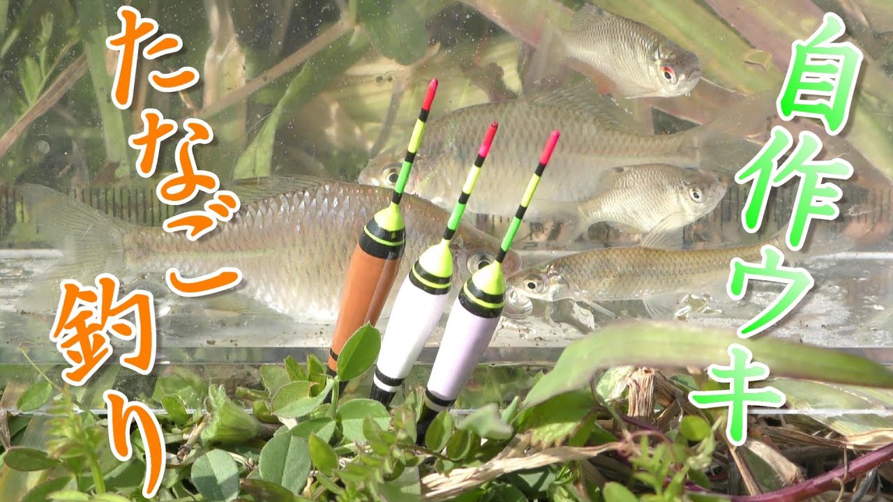 タナゴ釣り。自作のタナゴウキは最高！手作り感満載。大漁だ！ 小物