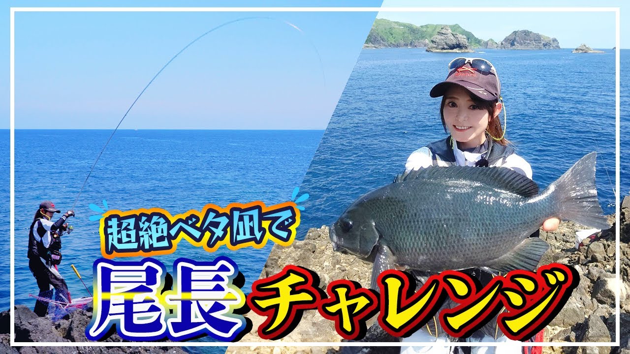 潮流れ無し、底スケスケ、見えてる尾長をかける【グレ・尾長】 - YouTube