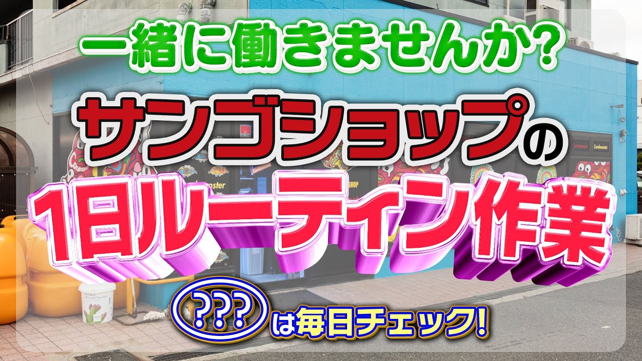 気軽にお問い合わせ下さい！ サンゴショップの1日とは？【2024年10月号