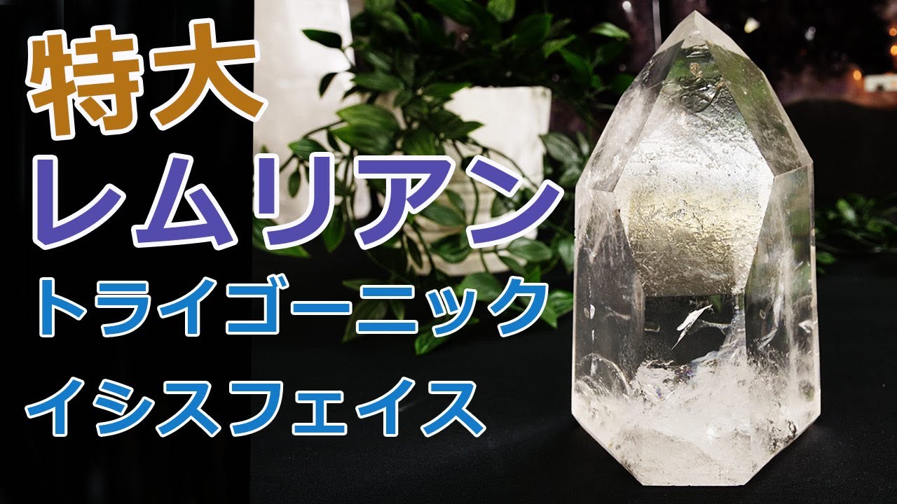 持つ方を選ぶ石♥神秘レムリアンシードクォーツ…☪︎*。꙳ 更に龍神様