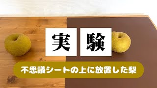 不思議シート (大) 約40cm角 【BL研究所 オンラインショップ】