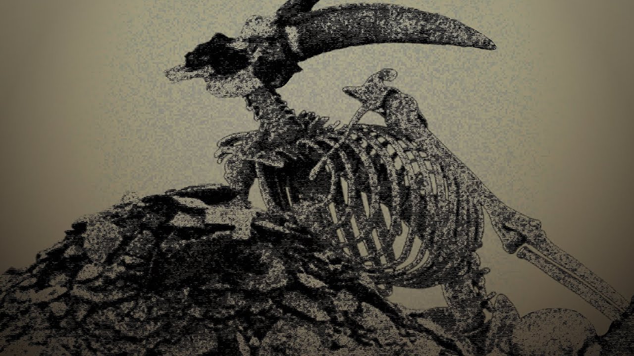 FALSE INSIGHT / NECROSPECTIVE / Split (CD) - はるまげ堂レコード